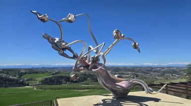 Ritorno nelle Langhe